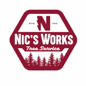 January 31st, 2026 (33)